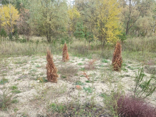 Нарушения - 4.jpg Нарушения - 4.jpg